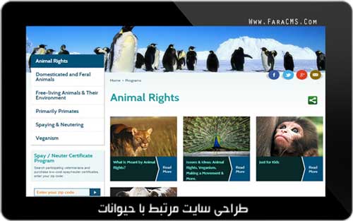 طراحی سایت مرتبط با حیوانات
